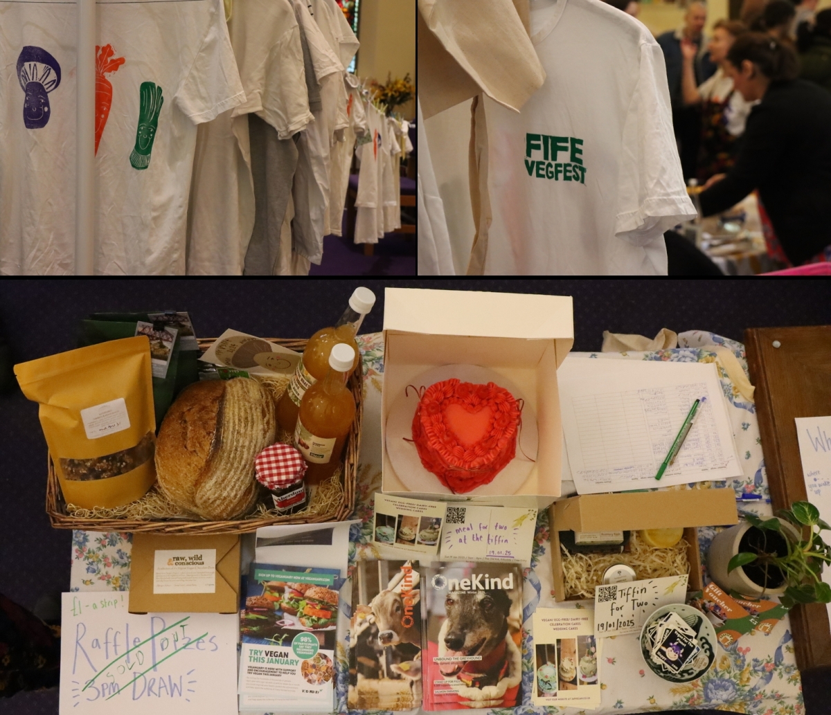 A composite image. Top left: a rack of white tshirts with Fife VegFest 'weird veg' mascots printed on them in bright colours. Top right: A white shirt stamped with FIFE VEGFEST hangs in the foreground, with people talking in the background. Bottom: A table of raffle prizes from above, including a basket with bread, jam, juice and treats, a pink heart shaped cake, vouchers, and other boxes of goodies.